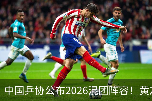 中国乒协公布2026混团阵容！黄友政入选引争议，温瑞博抢最后名额