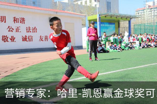 营销专家：哈里-凯恩赢金球奖可以挽救英国足球的声誉
